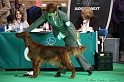 Crufts2011 712